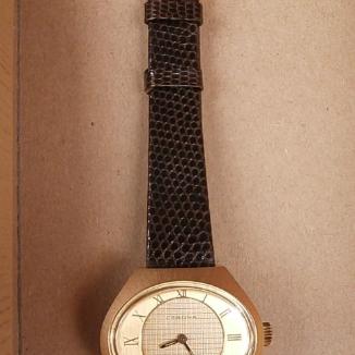 Sat Certina Festival | Svet Satova