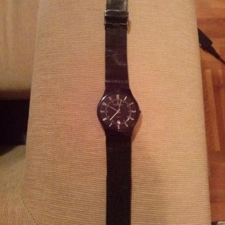 Sat Skagen 233XLTMB | Svet Satova