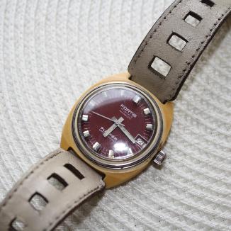 Sat Fortis Flipper | Svet Satova