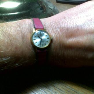 Sat Swiss Cortebert | Svet Satova