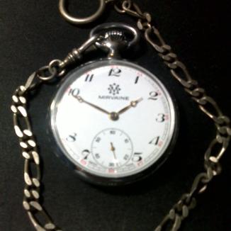 Sat Swiss Mirvaine | Svet Satova