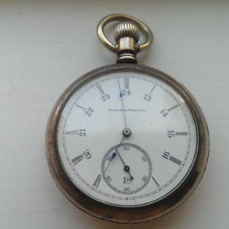 Sat Elgin 6405188 | Svet Satova