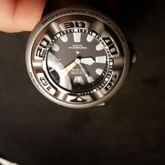 Sat Citizen Promaster Ecozilla Titanium | Svet Satova