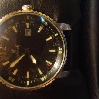 Sat Hirsch pilot | Svet Satova