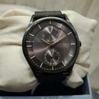 Sat Skagen Skagen Holst skw6180 | Svet Satova