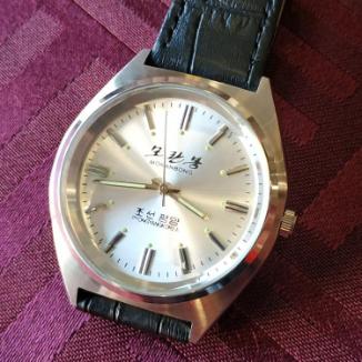 Sat Moranbong PyongyangKorea | Svet Satova