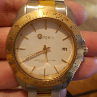 Sat [Nepoznati brend] Vagary Automatic swiss | Svet Satova